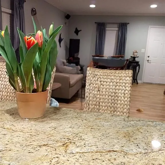 3157 Goldenrod St #B — Photo 5