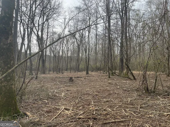 0 Bevis Rd Lot 1, Franklin, GA 30217
