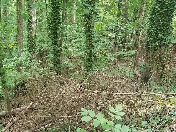 Lakeside Trl, Cumming, GA 30041