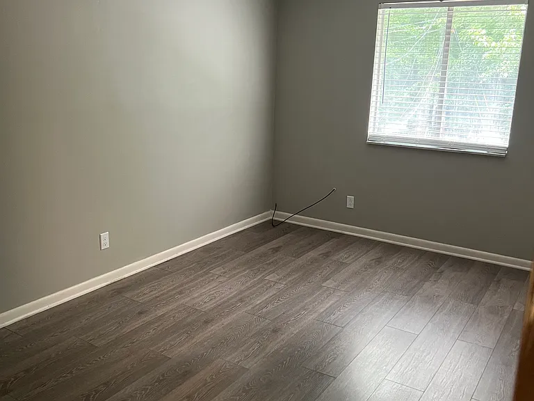 100 Orchard Hill Dr #203 — Photo 4