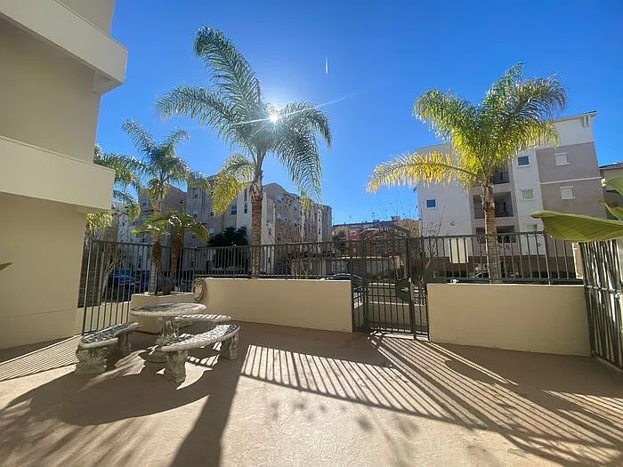 5540 Lindo Paseo #3 — Photo 7