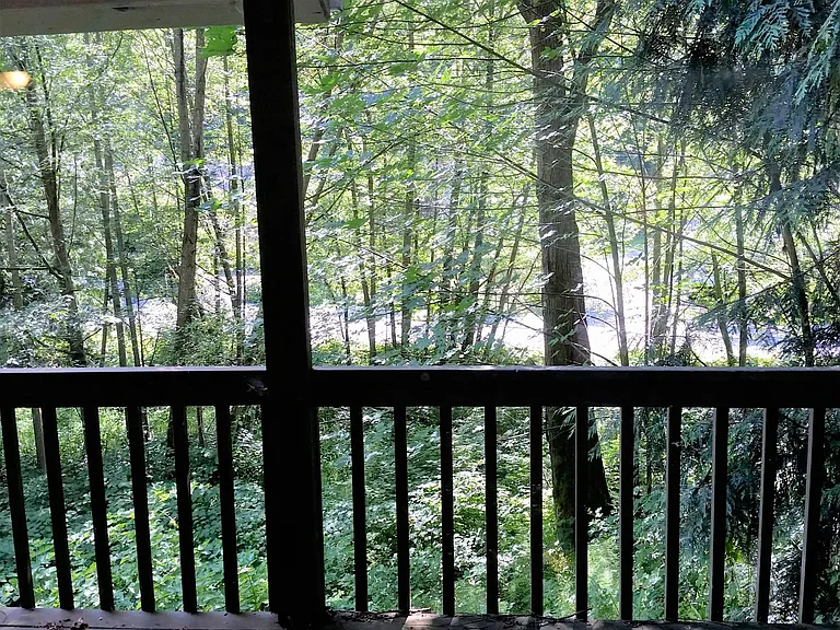 From the deck