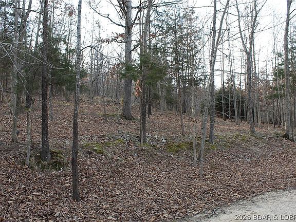 3rd image of 39 Gray Wolf Rd