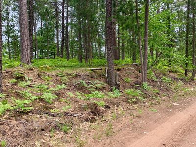 0 W Betsy River Rd, Paradise, MI, 49768
