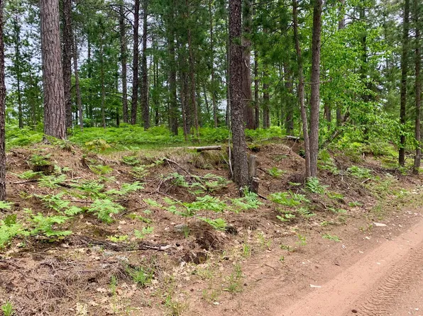 0 W Betsy River Rd, Paradise, MI 49768