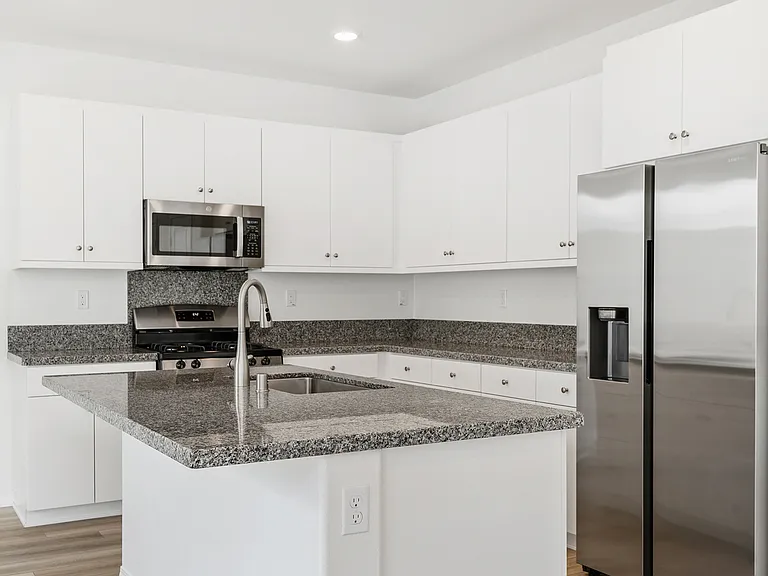 30163 Spineflower St — Photo 17