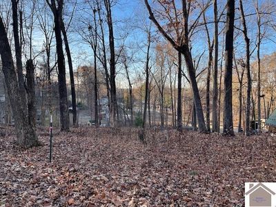 7-10-16 Ferrell Cir, Cadiz, KY, 42211