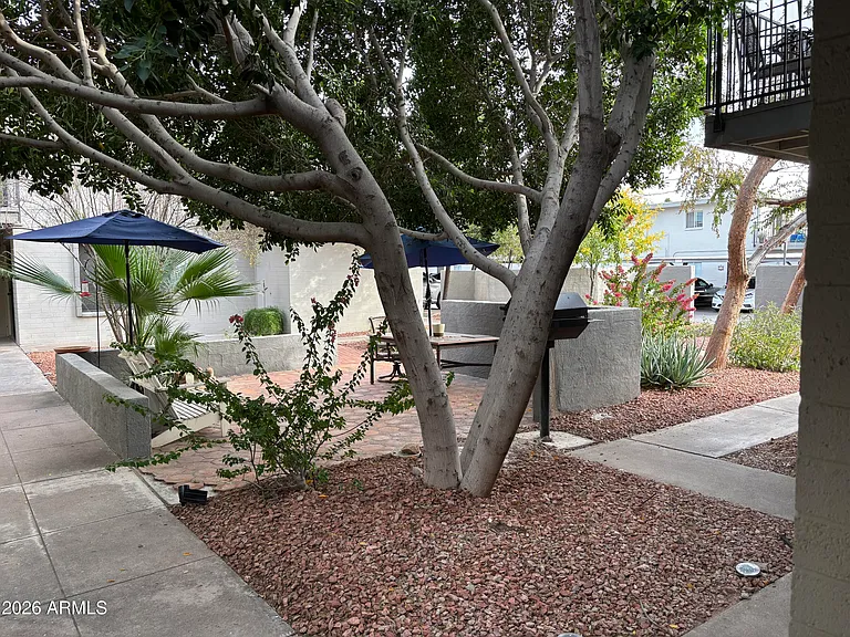 4111 E Camelback Rd #17 — Photo 8