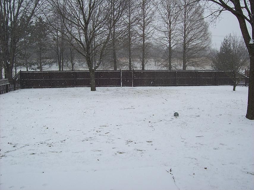 Fenced in Back Yard