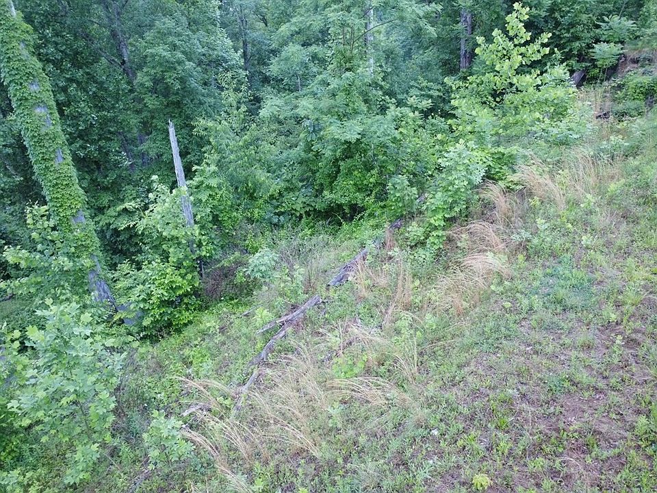 2nd image of 409 Loop Rd