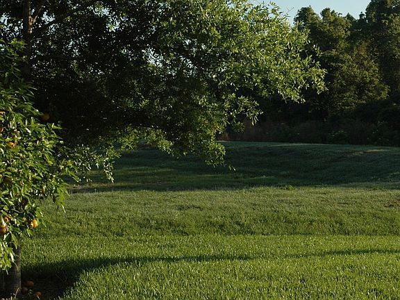 View from Back Porch