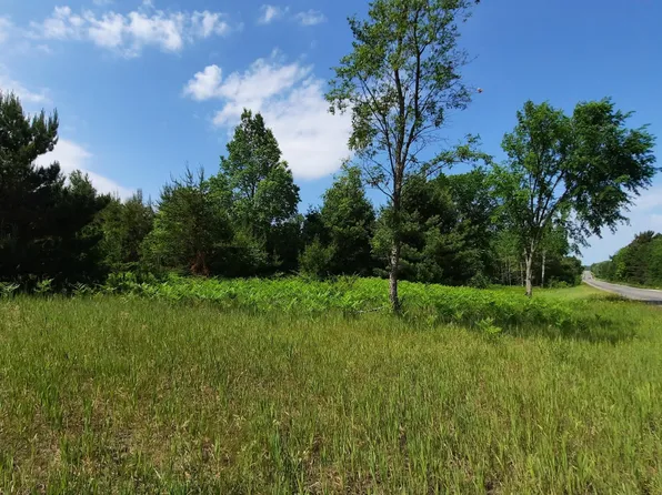 9 Mile Rd, Kaleva, MI 49645