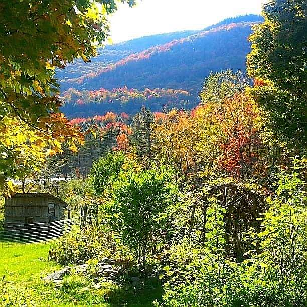 fall splendor