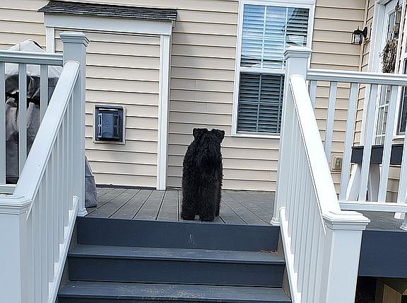 Front View - large Trex Deck