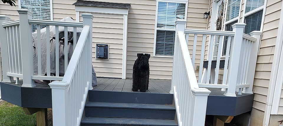 Front View - large Trex Deck