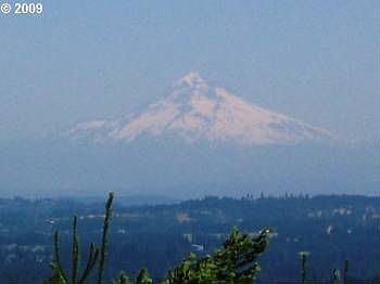 3rd image of 22645 SW Conifer Dr