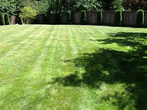 3rd image of 10817 208th Avenue Ct E