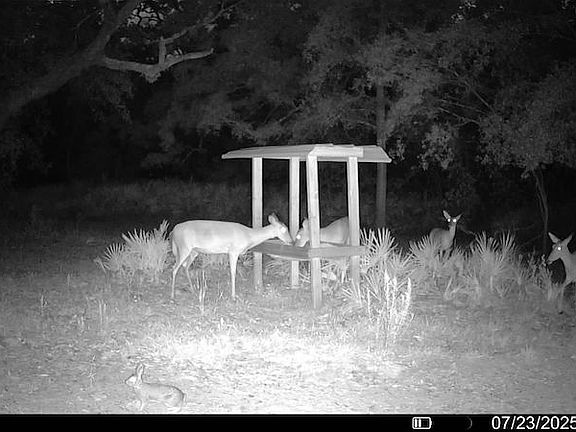 3rd image of 2669 NW Suwannee Valley Rd Lot Wp001
