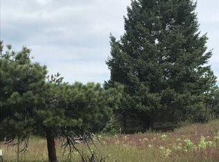 4593 Delaware Dr, Larkspur, CO 80118