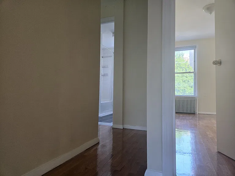 236 Hoyt St #2 — Photo 4
