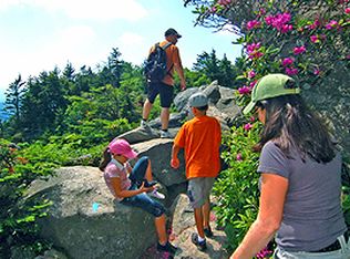 91A Shanty Ridge Ln, Banner Elk, NC 28604