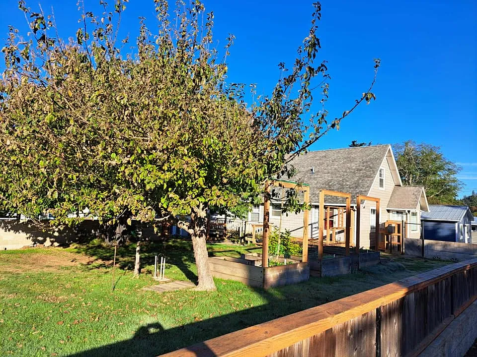 3 bed, $2,000 — Photo 4