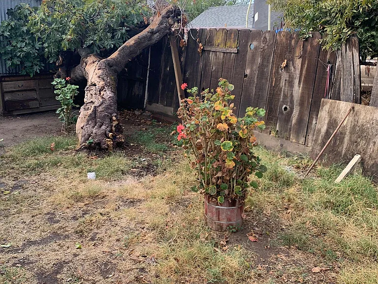 109A Maple St — Photo 11