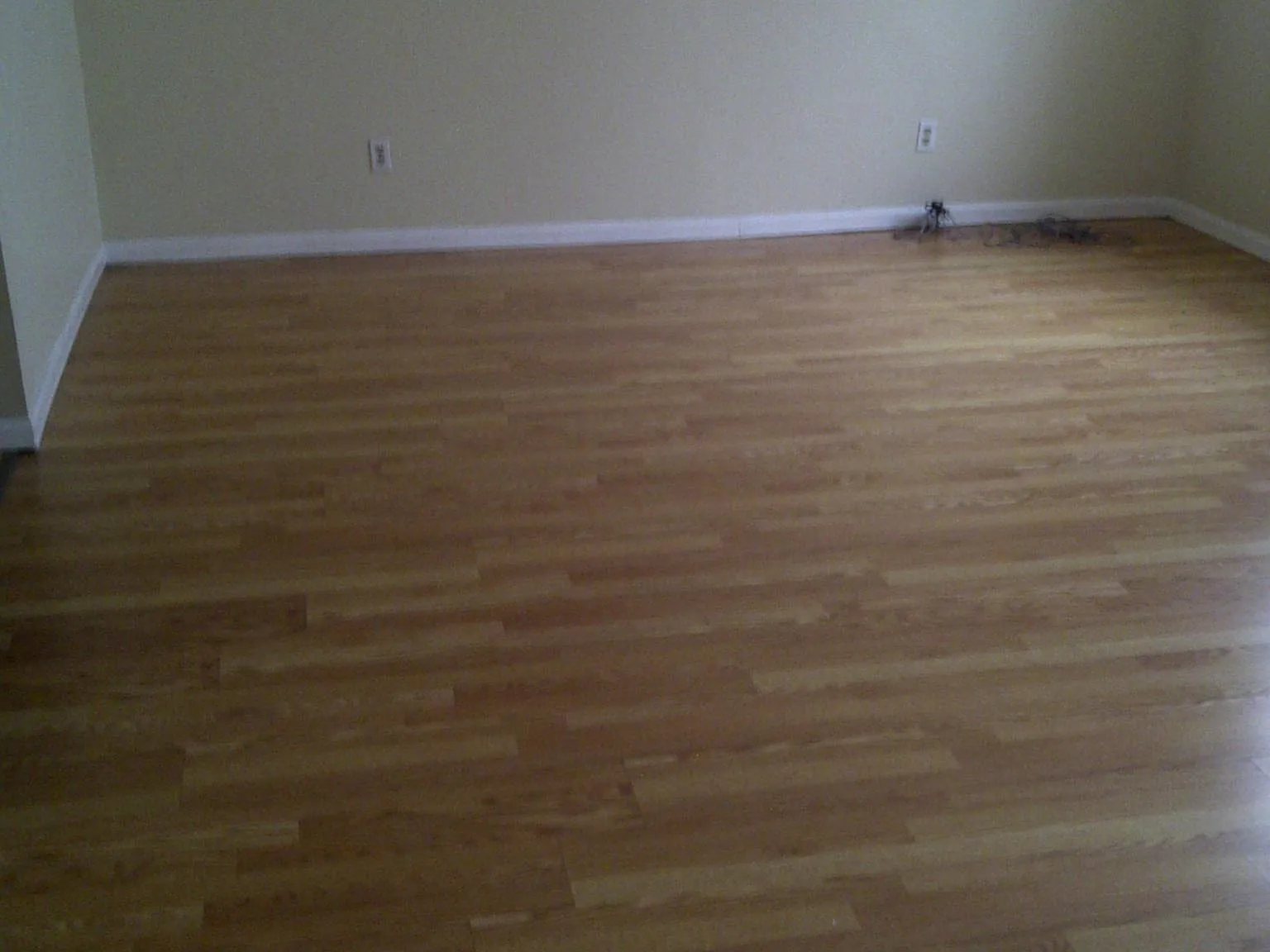 2 bed, $1,195 — Photo 3