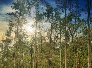 (Undisclosed Address), Vidor, TX 77662