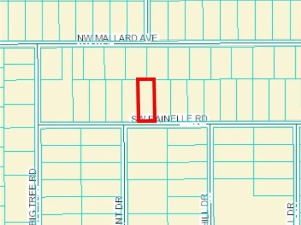 20 SW Rainelle Rd, Dunnellon, FL 34431