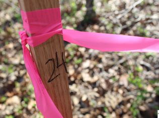 0 Elkhorn Tavern Rd LOT 24, Eddyville, KY 42038