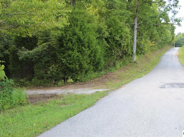 3 N Hopewell Church Rd, Fordsville, KY 42343