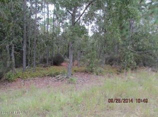 216 Adrian Ave, Interlachen, FL 32148