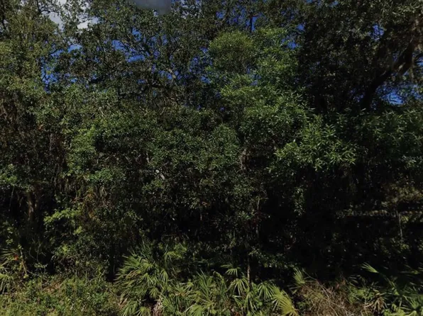 NE 47th Ter Lot 15, Citra, FL 32113