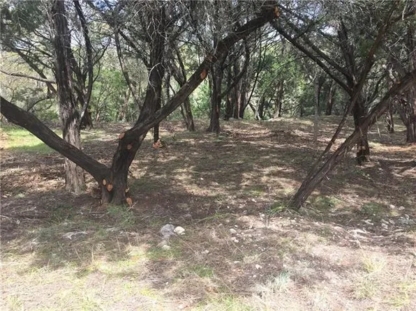 20612 Buckskin Rdg, Leander, TX 78645