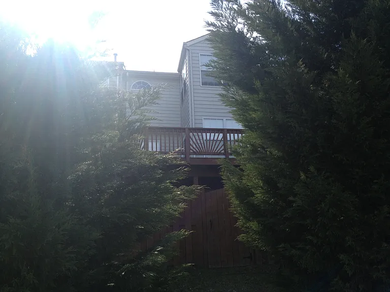 13005 Taxi Dr — Photo 34