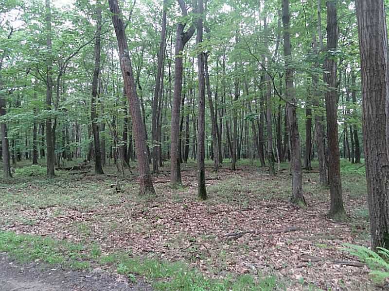 2nd image of 43A Blueberry Way