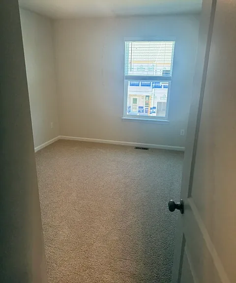 116 Willett Hollow St — Photo 14