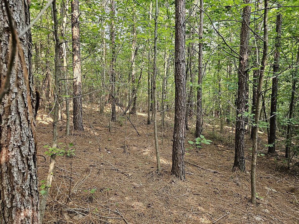 TRACT One 0 Alabama Hwy 44, Brilliant, AL 35548 Zillow