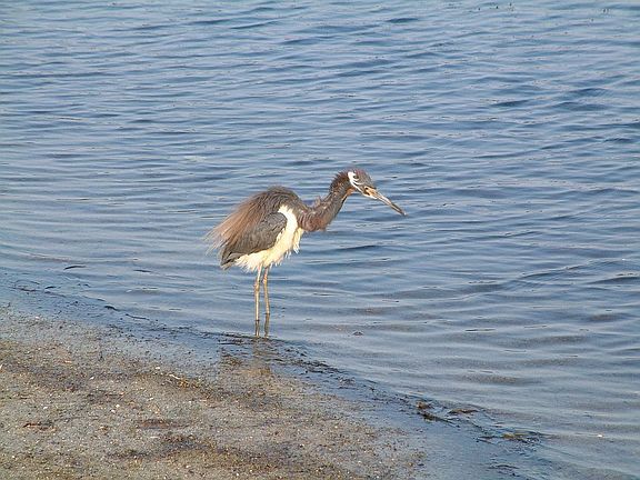 Wildlife and Nature Trail