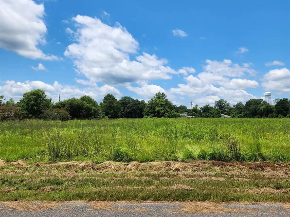 1-B Deer Buck Run #C, Rosedale, LA 70772