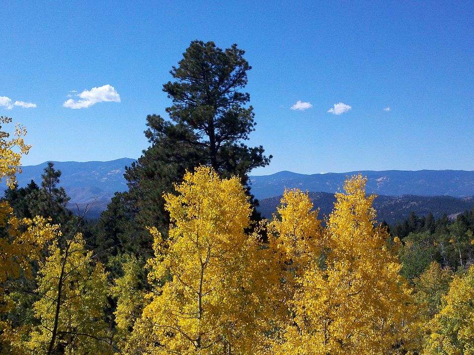 view from house/deck