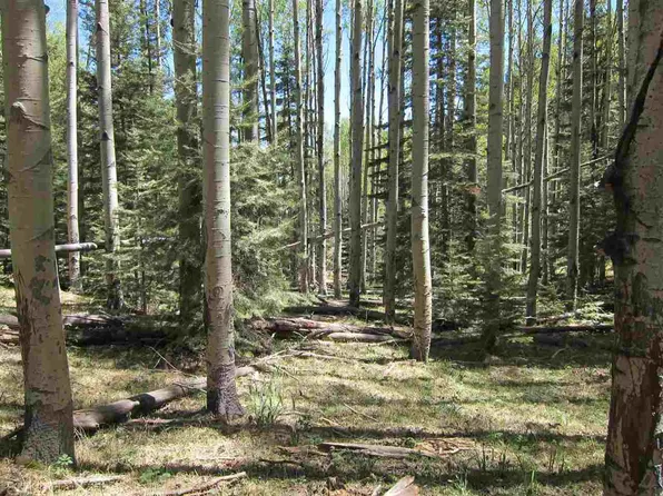 Ely Ln, Cloudcroft, NM 88317