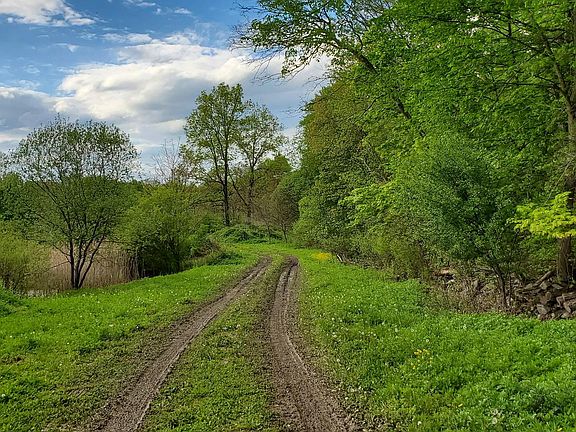 4th image of 207 Cardinal Road