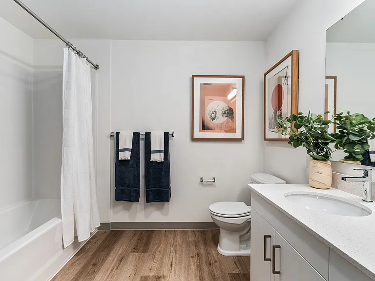 Solera Apartments — Photo 36