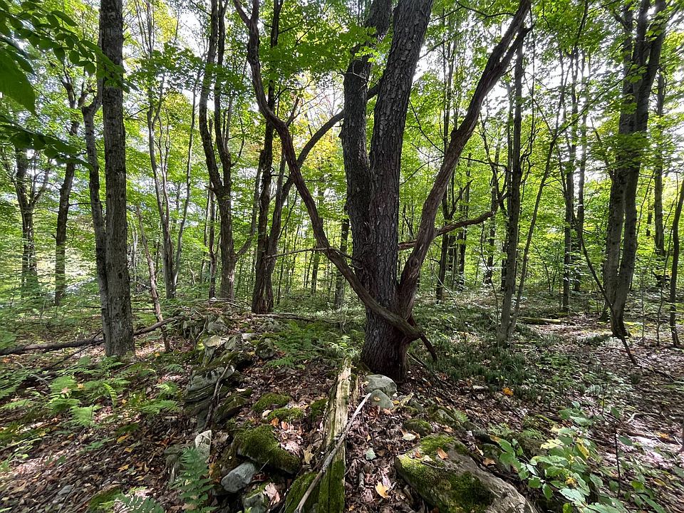 1st image of 388B Fletcher Rd