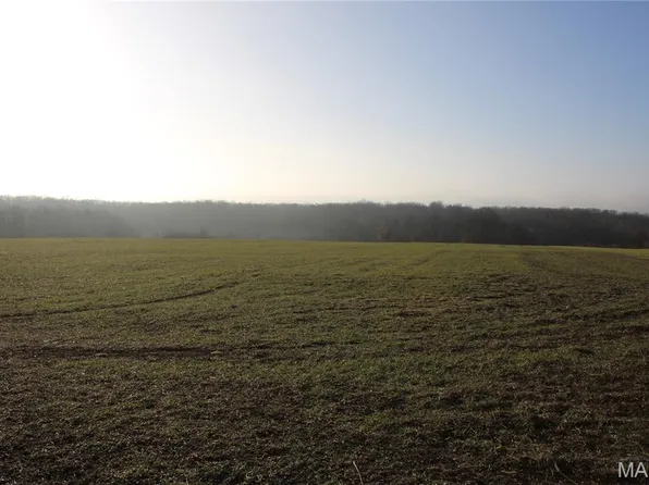 8 Sharps Pl, Perry, MO 63462