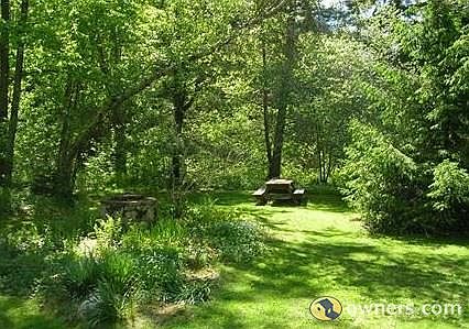 Quiet spot - backyard