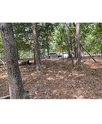 3rd image of 159 Mesero Way