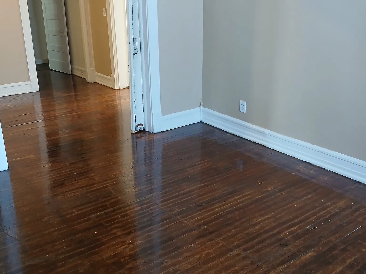 1 bed, $850 — Photo 2